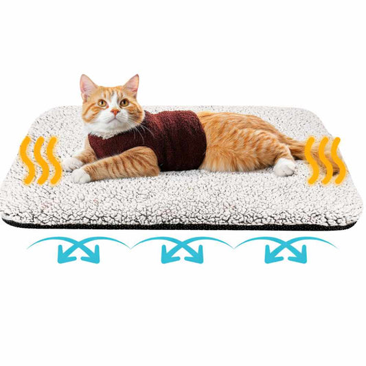 Self-Heating Winter For Cat & Dog